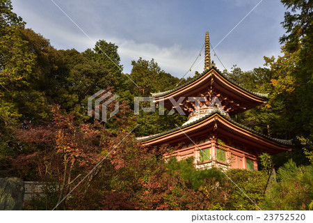 Kumano Kanonji Doctor's Cathedral Daishodo now Kumano Kanonji Doctor's Cathedral Daishodo now 23752520