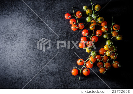 Fresh cherry tomatoes on black wooden background Fresh cherry tomatoes on black wooden background 23752698