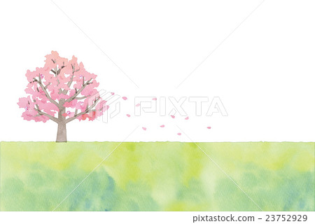Cherry tree illustration 23752929