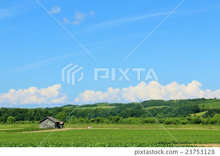 A beautiful landscape of Hokkaido A beautiful landscape of Hokkaido 23753128