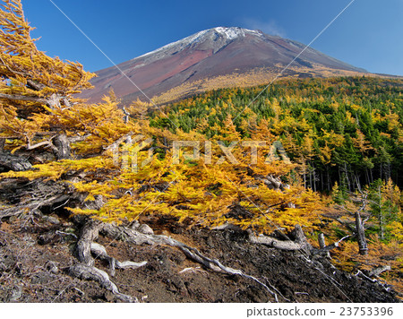福井富士的秋天 福井富士的秋天 23753396