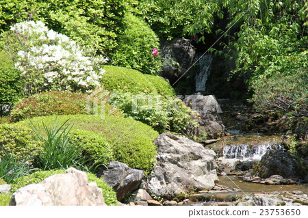 揮之不去的氣味花園 揮之不去的氣味花園 23753650