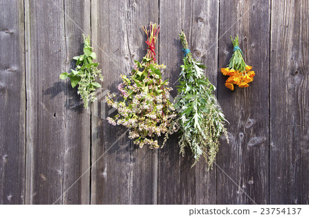 medical herbs and buckwheat bunch on barn wall 23754137
