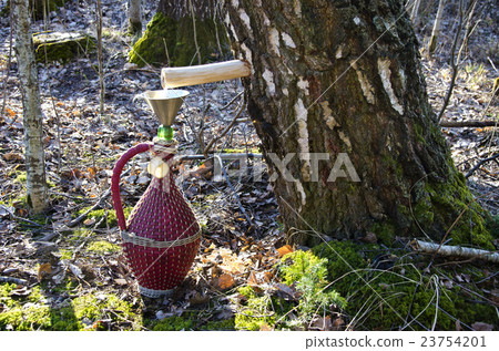 wicker wine bottle and birch tree with sap drops wicker wine bottle and birch tree with sap drops 23754201