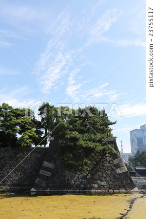 A blue sky in Ishigaki A blue sky in Ishigaki 23755117