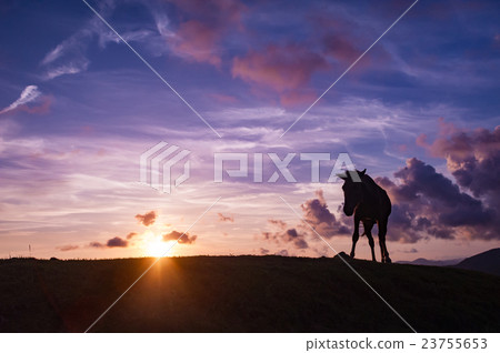 Evening scenery of Cape Toii 23755653