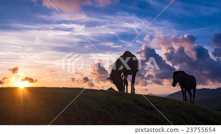 Evening scenery of Cape Toii 23755654