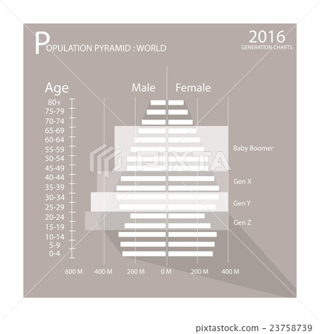 The Population Pyramids Chart 4 Age Generation 23758739