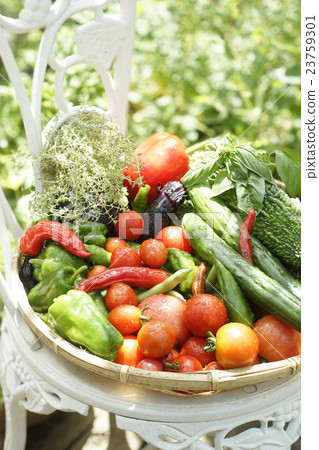 Fresh vegetables Fresh vegetables 23759301