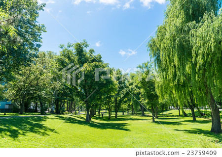 北海道大學中央貸款 23759409