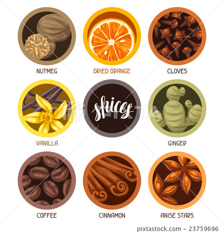 Various stylized spices set. Illustration of anise Various stylized spices set. Illustration of anise 23759696