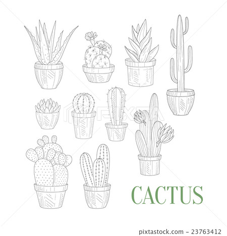 Different Cacti In Pots Hand Drawn Realistic Different Cacti In Pots Hand Drawn Realistic 23763412