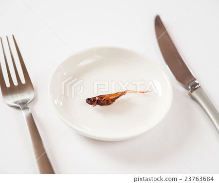 Locust Snake Boiled Insect Diet Knife Folk Traditional Diet 23763684