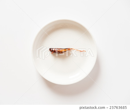 蛇煮蝗蟲的昆蟲粕 23763685