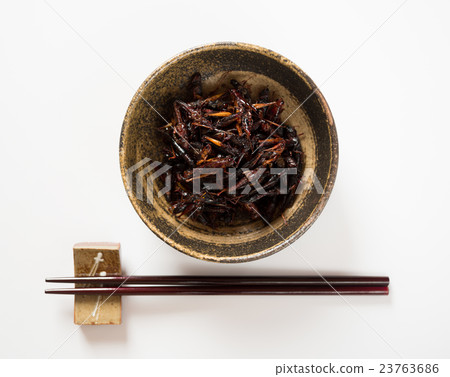 被定位的蝗蟲昆蟲膳食白色背景白色後面 23763686