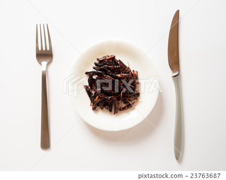 蛇煮蝗蟲的昆蟲粕 23763687