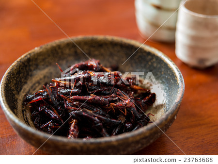 蛇煮蝗蟲的昆蟲粕 23763688