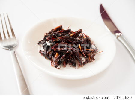 蛇煮蝗蟲的昆蟲粕 23763689