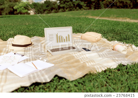 Blanket with laptop lying on the grass 23768415