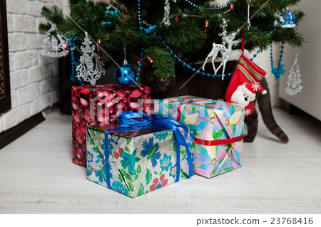 Cute Bengal Cat playing under the Christmas tree 23768416