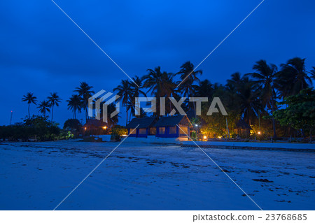 Tropical night Tropical night 23768685
