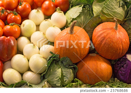 Pumpkins and vegetables Pumpkins and vegetables 23768686