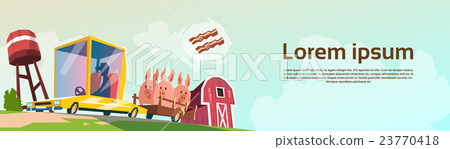 Butcher Farmer Carry Pigs In Car For Sale 23770418