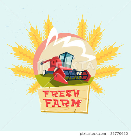 Combine Harvesting Wheat Crop In Field Eco Fresh Combine Harvesting Wheat Crop In Field Eco Fresh 23770620