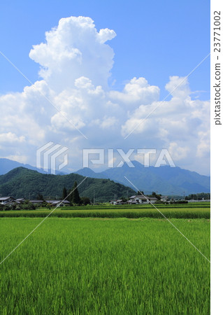 Azumino spreading in blue blue and summer sky 23771002