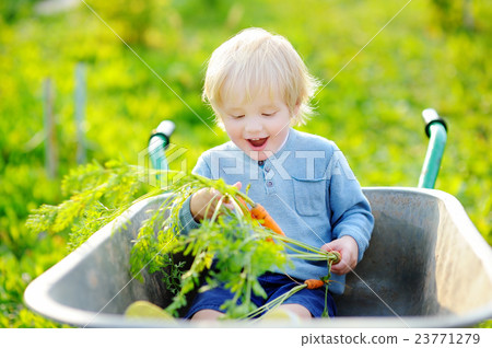 Toddler boy having fun in a wheelbarrow 23771279