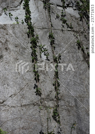 Rough rocks and branches Rough rocks and branches 23771653