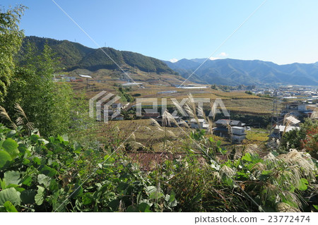 葡萄山 葡萄山 23772474