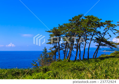 View from the cliff of Yase 23772924