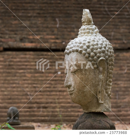 buddha statue in wat umong, chiang mai 23773988