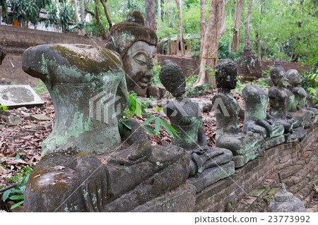 buddha statue in wat umong, chiang mai 23773992