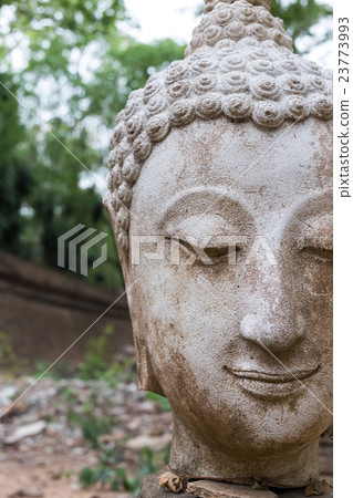 buddha statue in wat umong, chiang mai 23773993