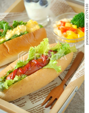 Wynn and egg hot dog lunch (high angle) 23774180