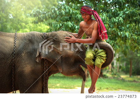 Best Friendship Mahout with elephant Best Friendship Mahout with elephant 23774873