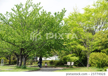 東戶塚信濃町公園 23774928