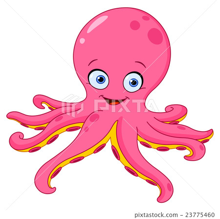 Octopus Octopus 23775460