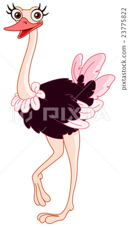 Ostrich Ostrich 23775822