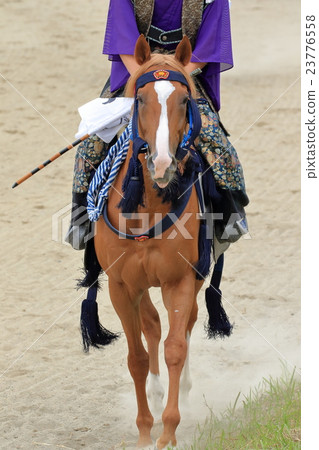 Soma賽馬追逐傍晚 Soma賽馬追逐傍晚 23776558