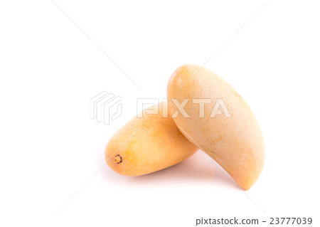 Yellow Thai mango isolated on white background 23777039
