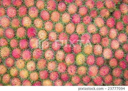 Pattern of rambutan for food background. 23777094