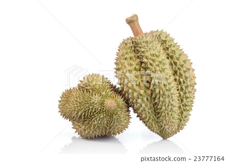 Thai Durian, tropical fruit, isolated on white background Thai Durian, tropical fruit, isolated on white background 23777164