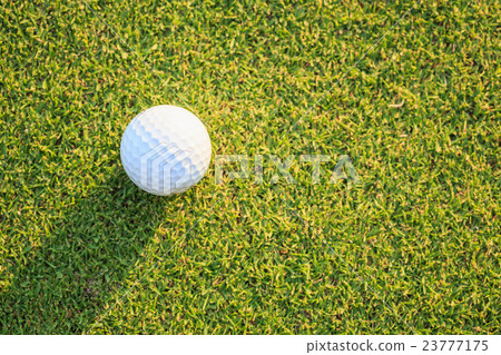 Golf ball on green grass in course Golf ball on green grass in course 23777175