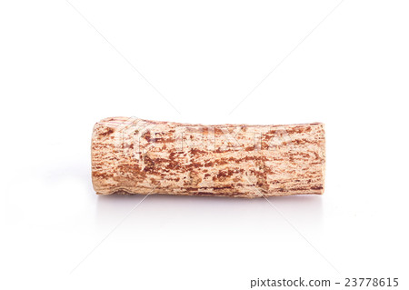Close up Thanaka wood isolated on white 23778615