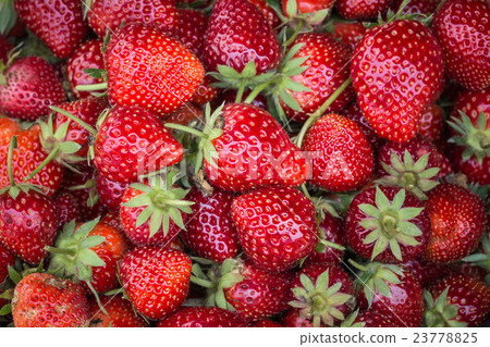 Pile of strawberry can you for food background Pile of strawberry can you for food background 23778825
