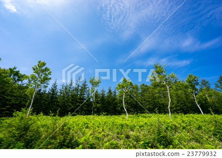 Tourist resort image of Lake Shiretoko 23779932