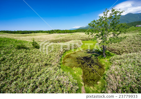 Tourist resort image of Lake Shiretoko 23779933